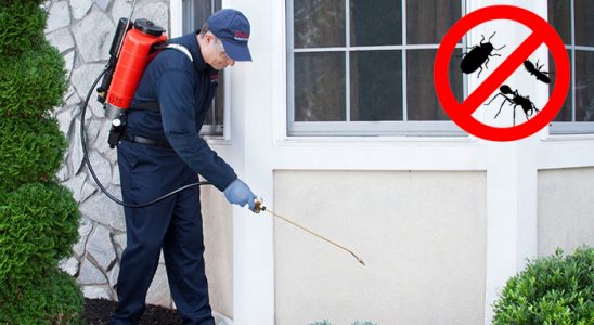 Çıldır Hamam Böceği İlaçlama böcek ilaçlama ve haşere kontrolü — ilaclama-tr.com